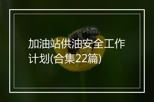 加油站供油安全工作计划(合集22篇)