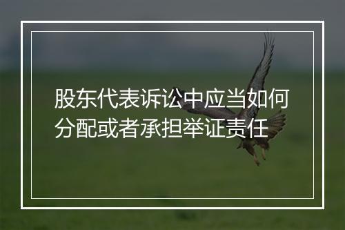 股东代表诉讼中应当如何分配或者承担举证责任
