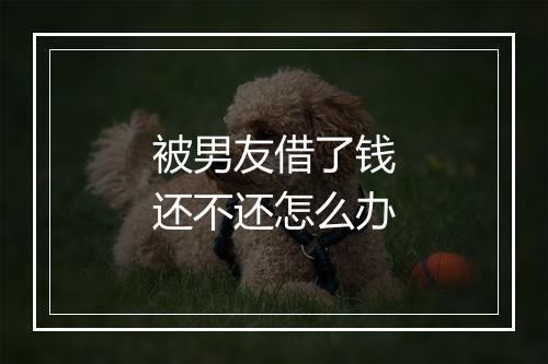 被男友借了钱还不还怎么办