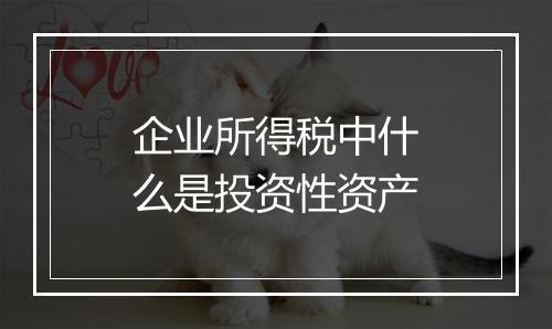 企业所得税中什么是投资性资产