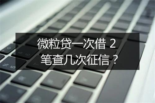 微粒贷一次借 2 笔查几次征信？