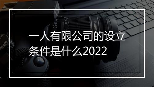 一人有限公司的设立条件是什么2022