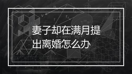 妻子却在满月提出离婚怎么办