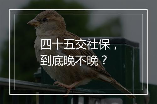 四十五交社保，到底晚不晚？