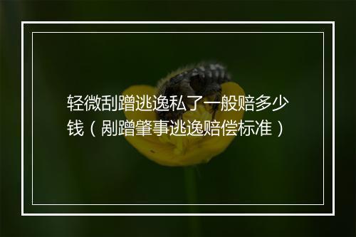 轻微刮蹭逃逸私了一般赔多少钱（剐蹭肇事逃逸赔偿标准）