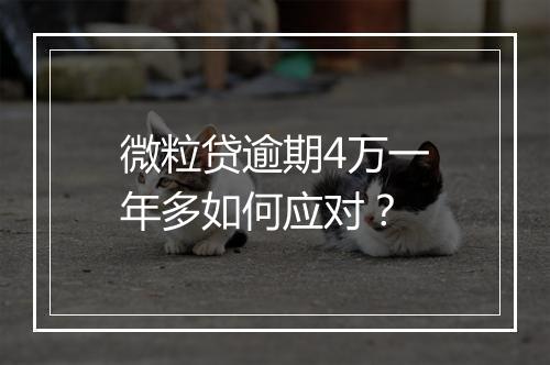 微粒贷逾期4万一年多如何应对？