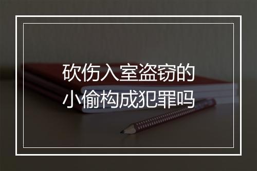 砍伤入室盗窃的小偷构成犯罪吗