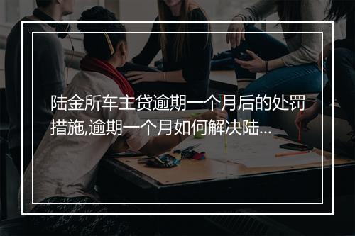 陆金所车主贷逾期一个月后的处罚措施,逾期一个月如何解决陆金所车主贷问题
