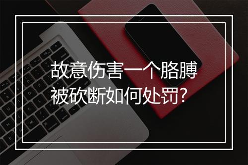 故意伤害一个胳膊被砍断如何处罚?