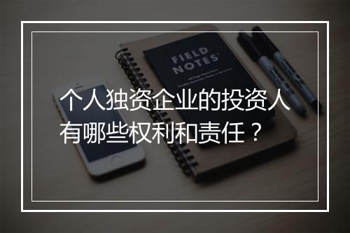 个人独资企业的投资人有哪些权利和责任？