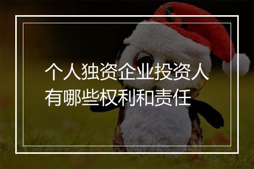 个人独资企业投资人有哪些权利和责任