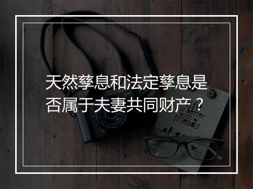 天然孳息和法定孳息是否属于夫妻共同财产？