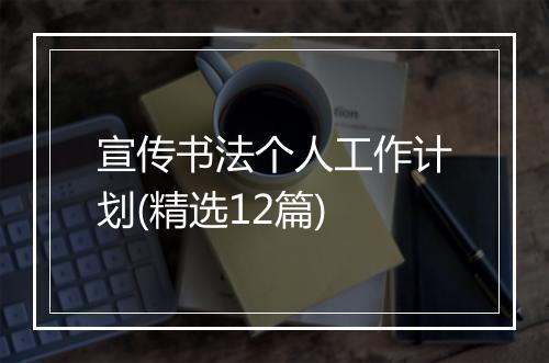 宣传书法个人工作计划(精选12篇)