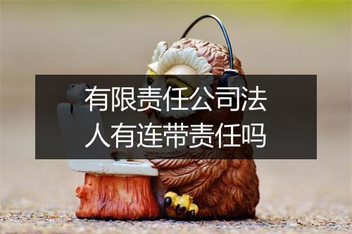 有限责任公司法人有连带责任吗