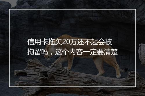 信用卡拖欠20万还不起会被拘留吗，这个内容一定要清楚