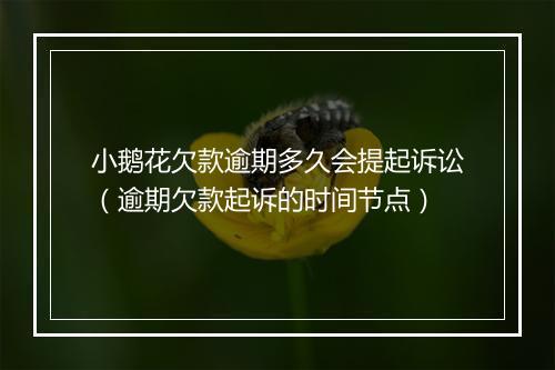 小鹅花欠款逾期多久会提起诉讼（逾期欠款起诉的时间节点）