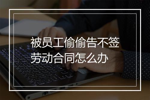 被员工偷偷告不签劳动合同怎么办