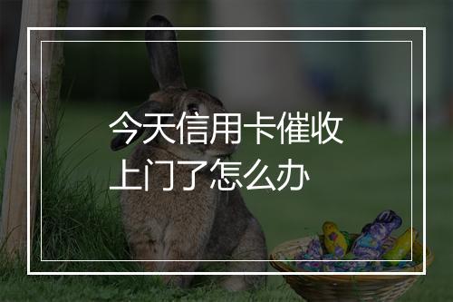 今天信用卡催收上门了怎么办