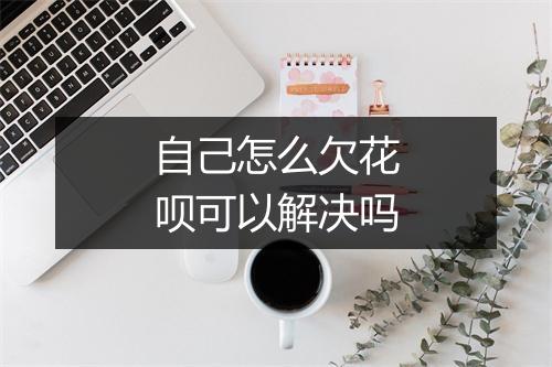 自己怎么欠花呗可以解决吗