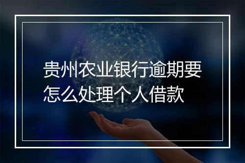 贵州农业银行逾期要怎么处理个人借款
