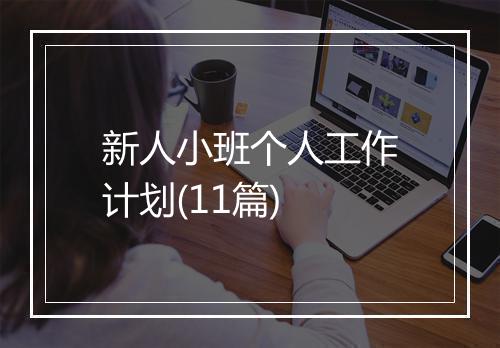 新人小班个人工作计划(11篇)