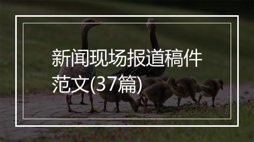 新闻现场报道稿件范文(37篇)