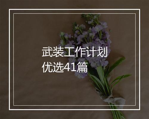 武装工作计划优选41篇