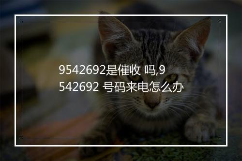 9542692是催收 吗,9542692 号码来电怎么办