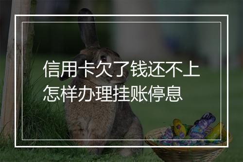 信用卡欠了钱还不上怎样办理挂账停息