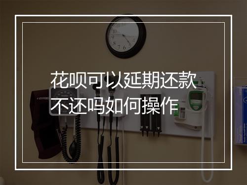 花呗可以延期还款不还吗如何操作
