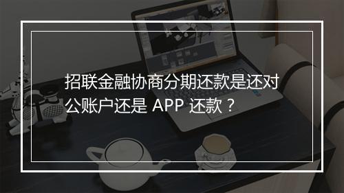 招联金融协商分期还款是还对公账户还是 APP 还款？