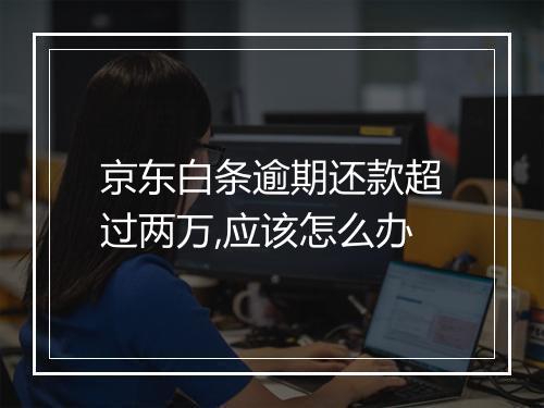 京东白条逾期还款超过两万,应该怎么办