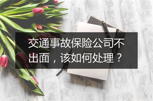 交通事故保险公司不出面，该如何处理？