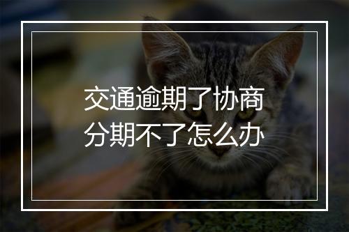 交通逾期了协商分期不了怎么办