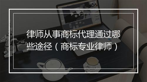 律师从事商标代理通过哪些途径（商标专业律师）