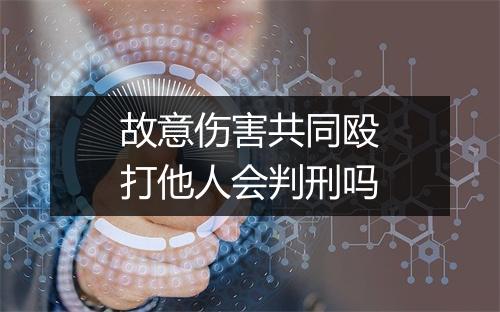 故意伤害共同殴打他人会判刑吗