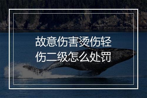 故意伤害烫伤轻伤二级怎么处罚