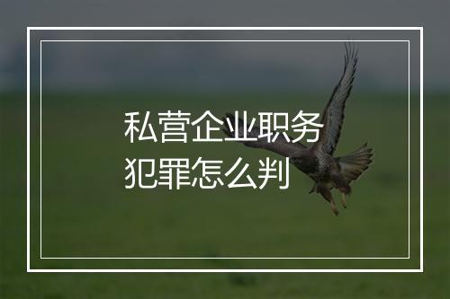 私营企业职务犯罪怎么判
