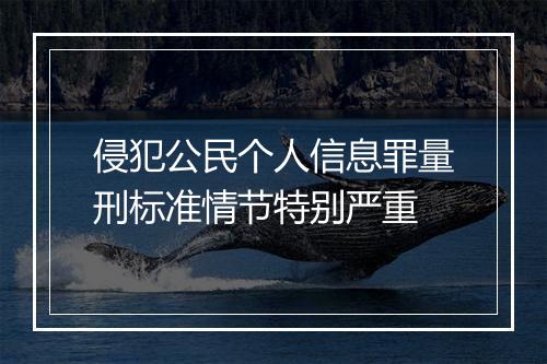 侵犯公民个人信息罪量刑标准情节特别严重