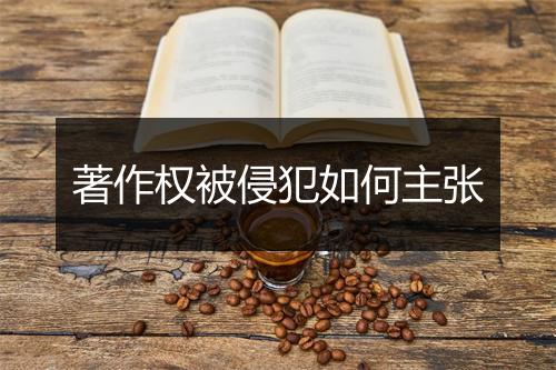 著作权被侵犯如何主张