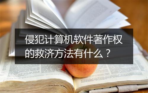侵犯计算机软件著作权的救济方法有什么？