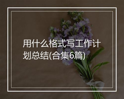 用什么格式写工作计划总结(合集6篇)