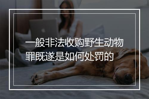 一般非法收购野生动物罪既遂是如何处罚的