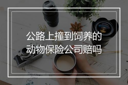 公路上撞到饲养的动物保险公司赔吗