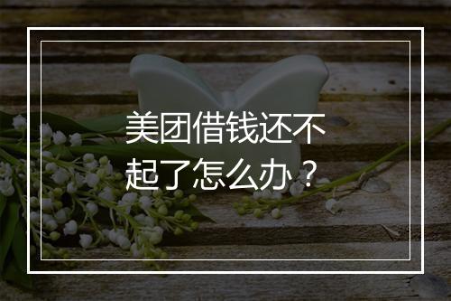 美团借钱还不起了怎么办？