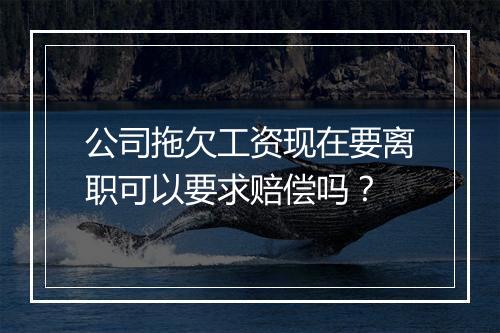 公司拖欠工资现在要离职可以要求赔偿吗？