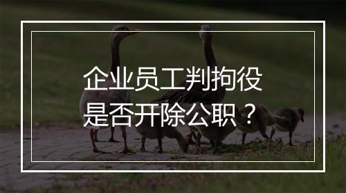 企业员工判拘役是否开除公职？