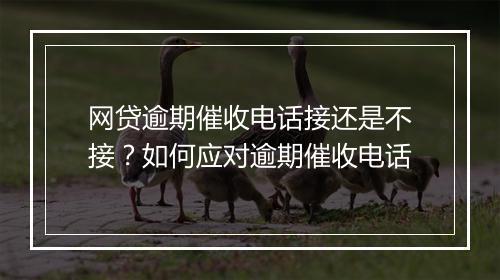 网贷逾期催收电话接还是不接？如何应对逾期催收电话