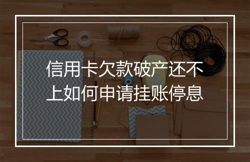信用卡欠款破产还不上如何申请挂账停息