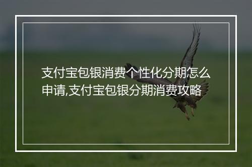 支付宝包银消费个性化分期怎么申请,支付宝包银分期消费攻略
